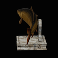 common-carp-trophy-2-2-1-10.png COMMON CARP (CYPRINUS CARPIO) fish in motion trophy statue detailed texture for 3d printing