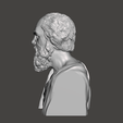 Socrates-3.png 3D Model of Socrates - High-Quality STL File for 3D Printing (PERSONAL USE)