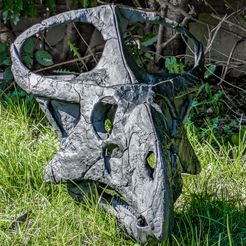 Protoceratops skull