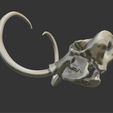 07.png 3D mammoth skull