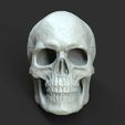 Screenshot_2.jpg Male Skull