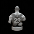 untitled13.png Lebron James Bust for 3D printing
