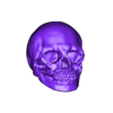 PM3D_PolySphere_1 (2).stl Human Skull