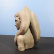 DSCN4316_fix.jpg Free STL file Ahsoka Tano Bust・3D printable design to download