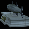 Barracuda-mouth-statue-17.png fish great barracuda / Sphyraena barracuda open mouth statue detailed texture for 3d printing