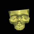 19.png 3D Human Skull - Cap, Mandible