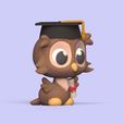 Cod620-Graduate-Owl-2.jpeg Graduate Owl
