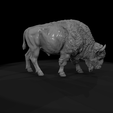 camera010.png American Bison Female Sculpture