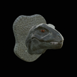 my_project-1.png t-rex head trophy on the wall / two faces / dinosaur