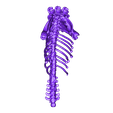 Body3er.stl Créatures inconnues - Cerberus Skeleton
