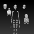 corpo-partes-separadas-f.png BJD- Articulated female body: Elf/anime/western heads