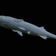 Barracuda-mouth-statue-44.png fish great barracuda / Sphyraena barracuda open mouth statue detailed texture for 3d printing