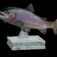 Rainbow-trout-trophy-2.png rainbow trout / Oncorhynchus mykiss fish in motion trophy statue detailed texture for 3d printing
