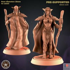 230201_Female_Sent_Druid.jpg Fichier 3D Sentinelle druidique féminine・Objet pour imprimante 3D à télécharger