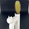 IMG_3994.jpg Minimalist-designed cat-shaped planter