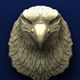 A011. Eagle Head.jpg Eagle head