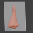 2.png 3D Nose Anatomy Model