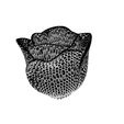 tulipe.jpg Fichier STL Tulipe voronoi・Plan pour impression 3D à télécharger