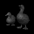 2023-11-28-20_26_47-_-bust-1-C__Users_Berkehan_Desktop_bust-1.blend-Blender-4.0.png Duck sitting and standing duck