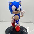 IMG_2094.jpg Sonic