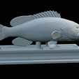 White-grouper-open-mouth-statue-47.png fish white grouper / Epinephelus aeneus open mouth statue detailed texture for 3d printing