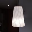 IMG20221117125057.jpg Voronoi 2 Pendant Lamp