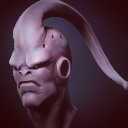 bhu-bust 3D model