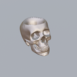 2.png Skull Planter 3D Print Stl File