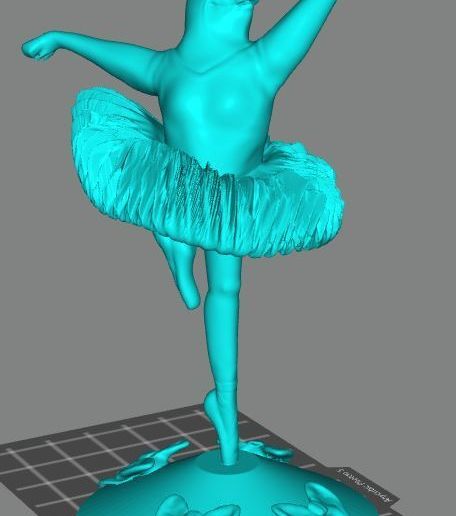 Pig-Ballerina-pic-one.jpg Ballerina Pig