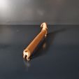 IMG-20240506-WA0022.jpg Funny Long Dachshund Dog Sausage (Cachorro Salsicha)