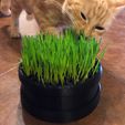 02.jpg Cat Grass Planter