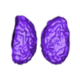 Licker brain.stl RE 3 Remake / Liker / No Supports