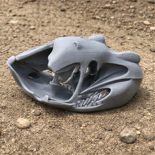 Qinlingosaurus Skull