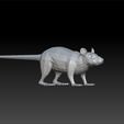 rat111.jpg Rat low poly- rat for game