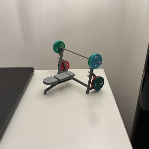 IMG_9043.jpeg Banco de pesas en miniatura