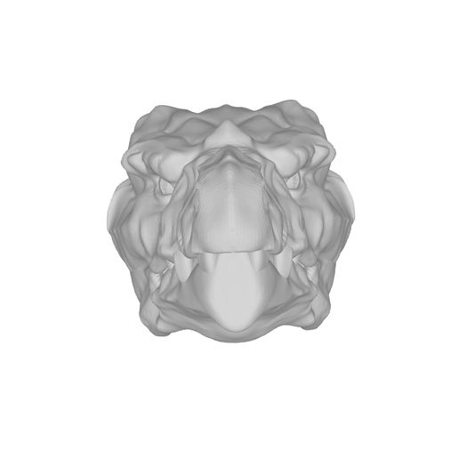 IMG_0912.jpeg Tête d’aigle démoniaque