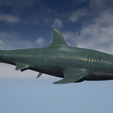 Captura-de-Tela-108.png shark